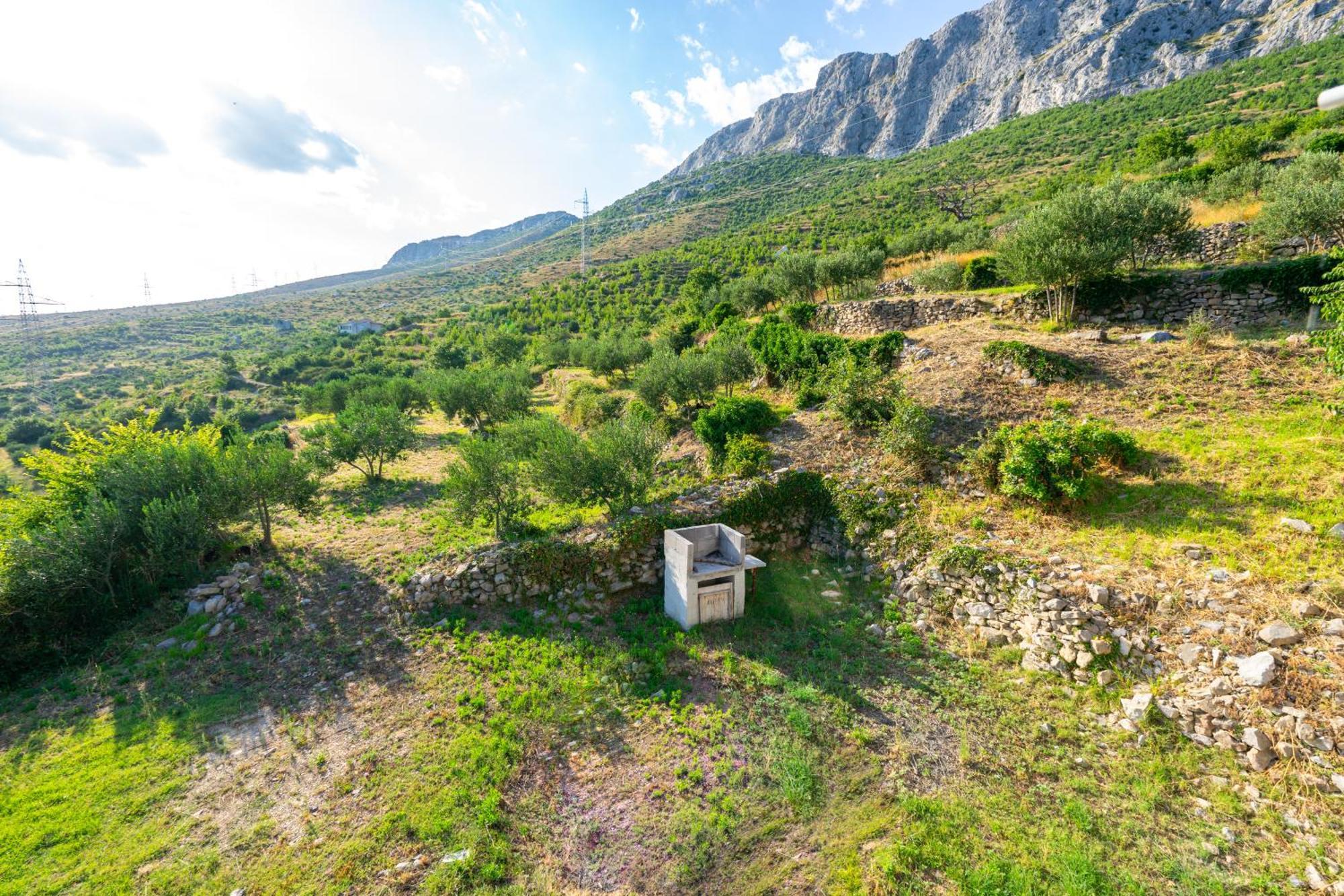 Olive Garden House In Zrnovnica With A View & Bbq Villa Eksteriør billede